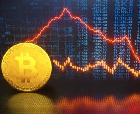 XenovexFlex - Take charge of your financial investments with XenovexFlex.